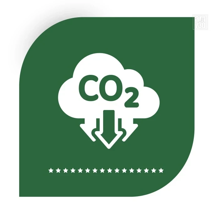 傑出碳中和大獎 v2