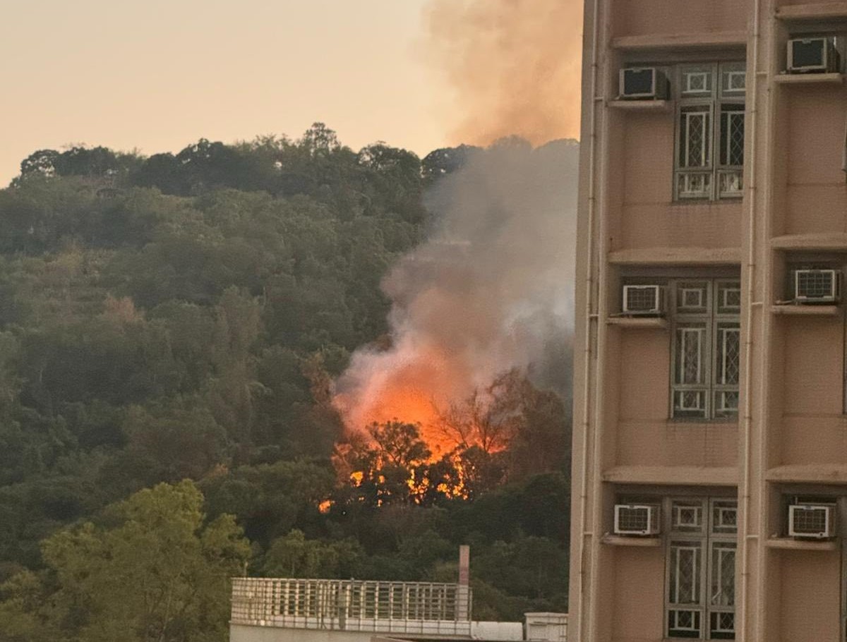 615391351 10240352368527134 712233199108687115 n