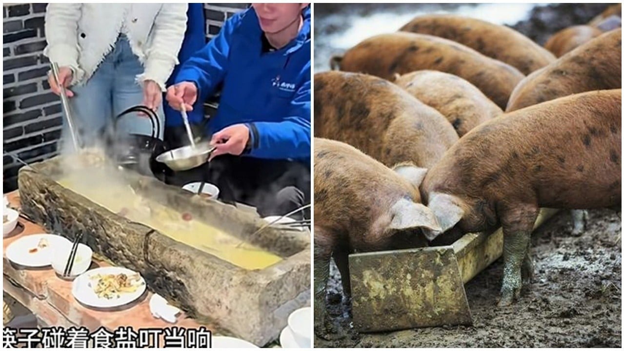 湖南餐廳推「石槽火鍋」，內地網民調侃：像餵豬槽。