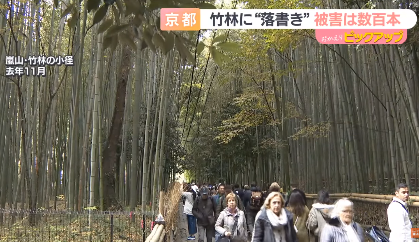 京都竹林