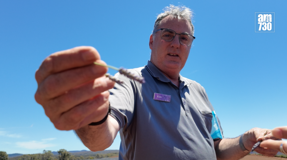 螢幕擷取畫面 2026 01 12 182003