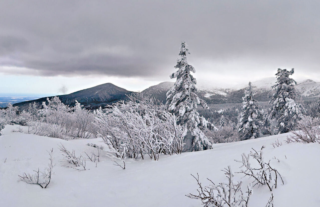 日本多處出現大風雪，日本東北變成一片銀白世界。(Spring攝)