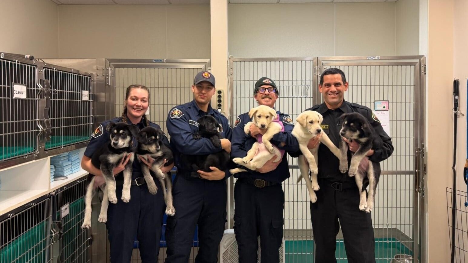 6隻小幼犬疑似誤食芬太尼，所幸搶救過後都恢復健康。（圖／翻攝自FB@SkyValleyFire）