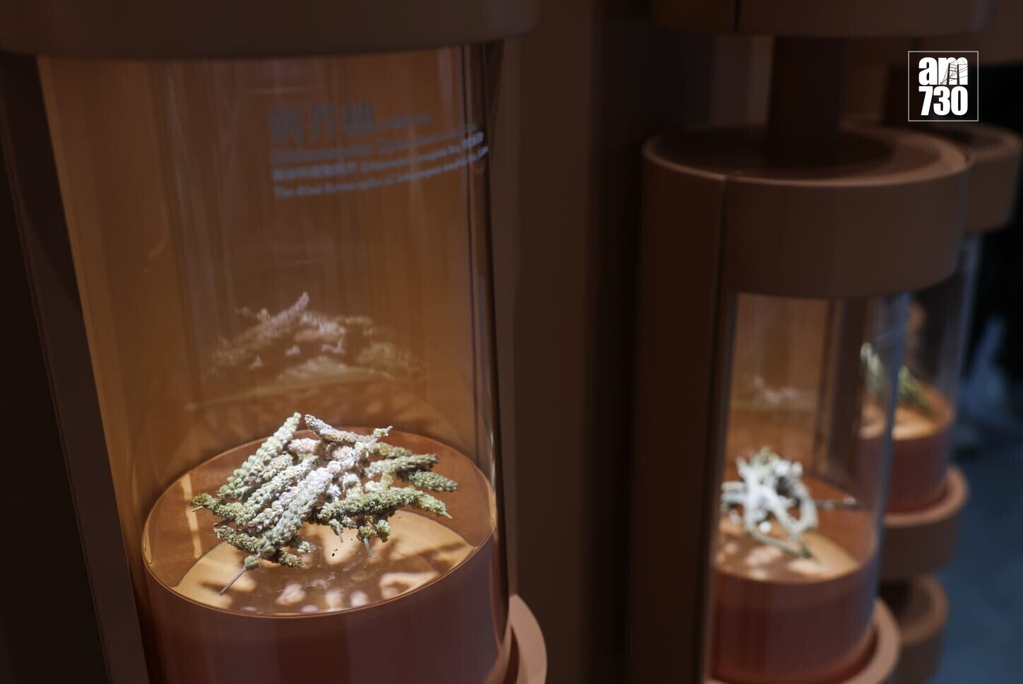 政府中藥檢測中心大樓主要設施啟用(周令知攝)