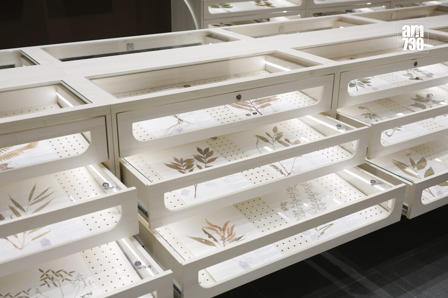 政府中藥檢測中心大樓主要設施啟用(周令知攝)