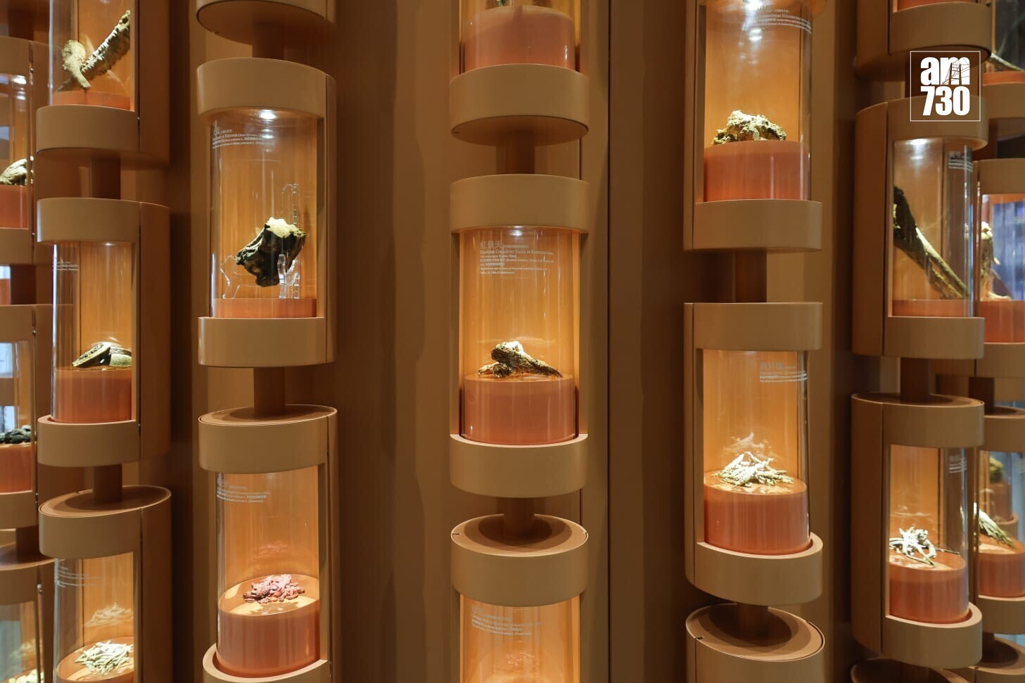 政府中藥檢測中心大樓主要設施啟用(周令知攝)