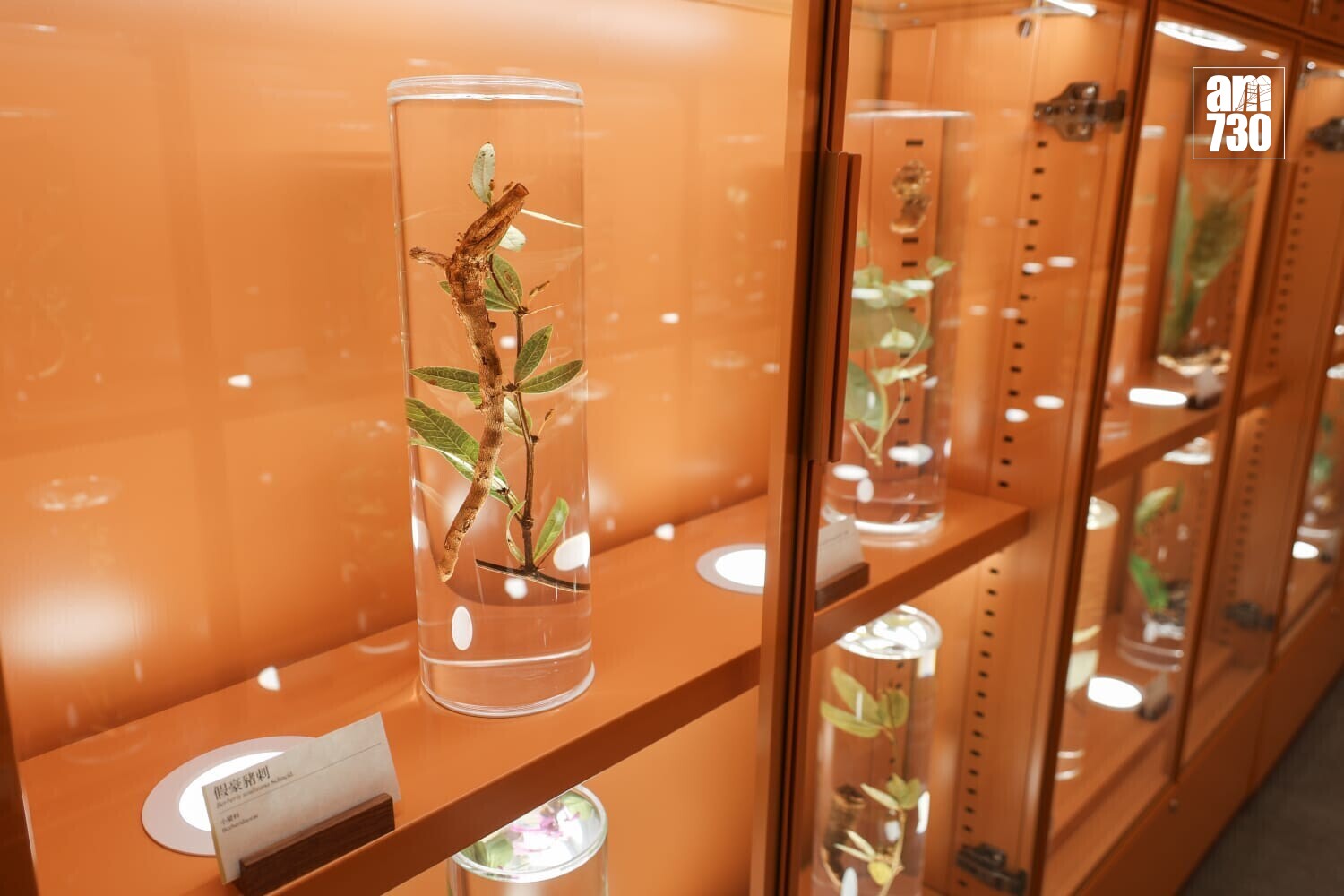 政府中藥檢測中心大樓主要設施啟用(周令知攝)