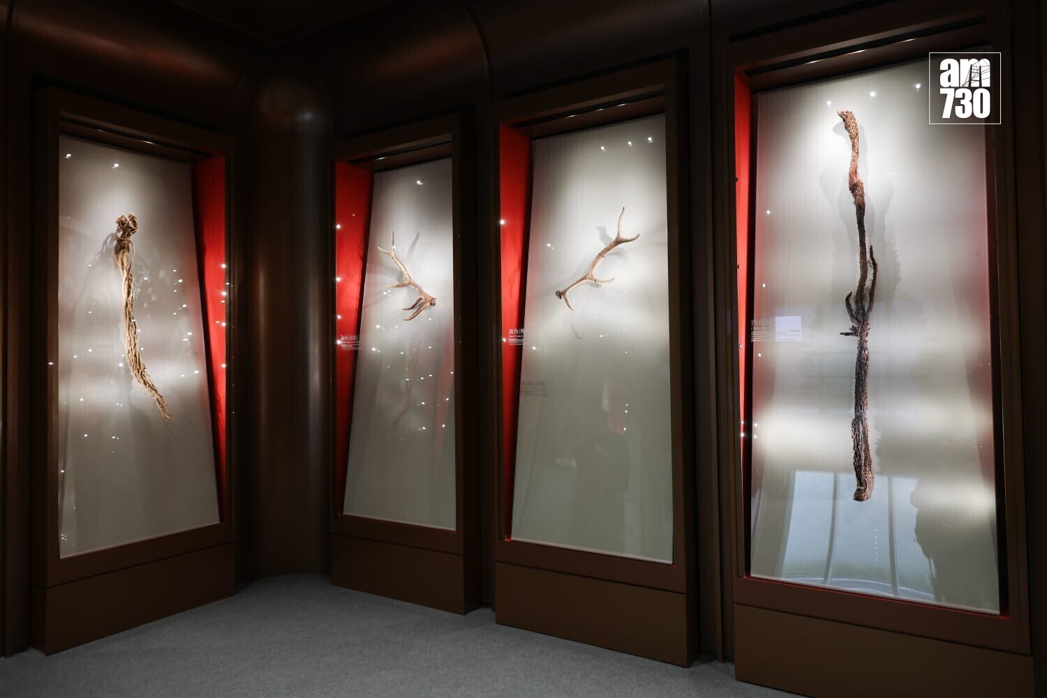 政府中藥檢測中心大樓主要設施啟用(周令知攝)