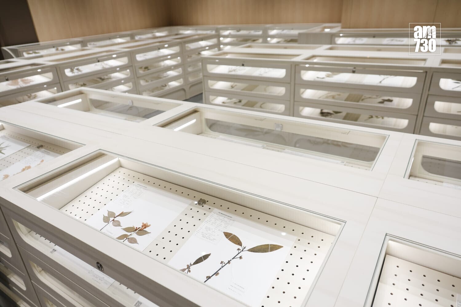 政府中藥檢測中心大樓主要設施啟用(周令知攝)