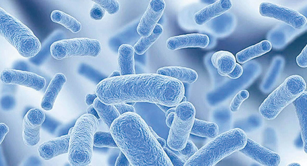 吃了益生菌仍有便秘？