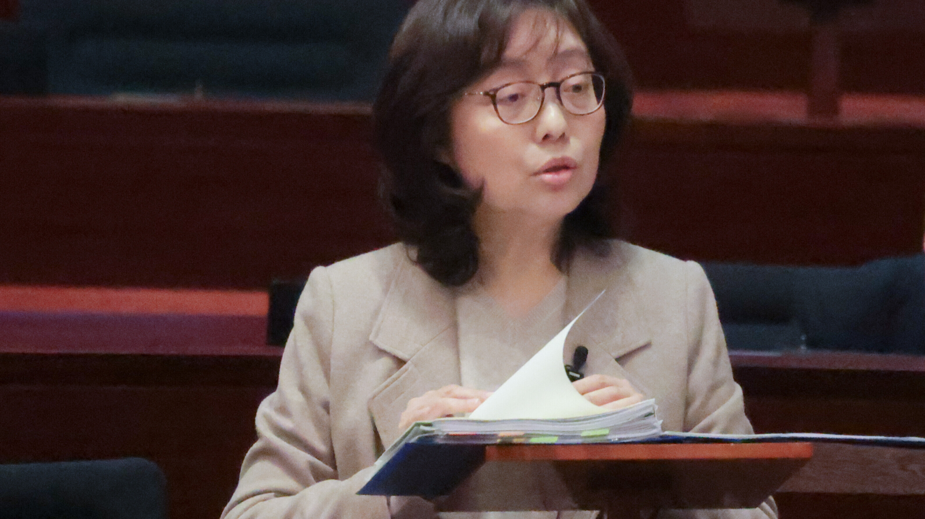 甯漢豪指制定「預審名單」將會從嚴從緊處理。(吳康琦攝)