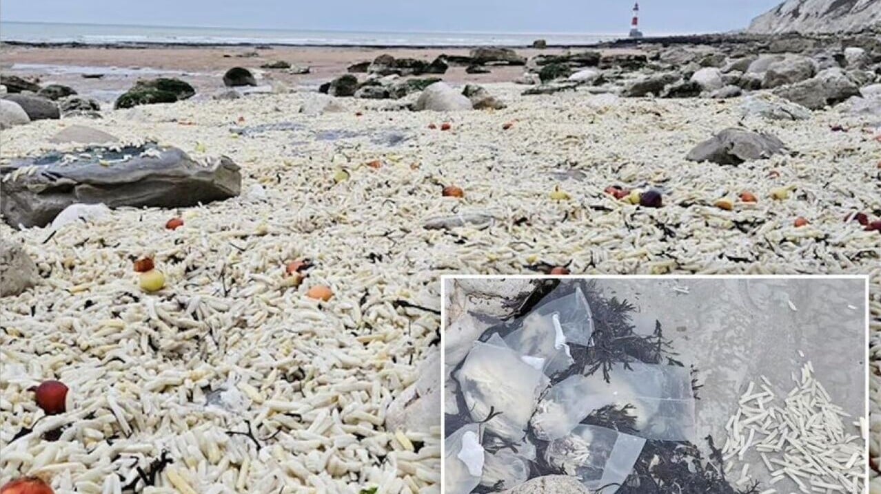 英國海灘出現「薯條海嘯」 幾千袋被沖上岸居民組團清理