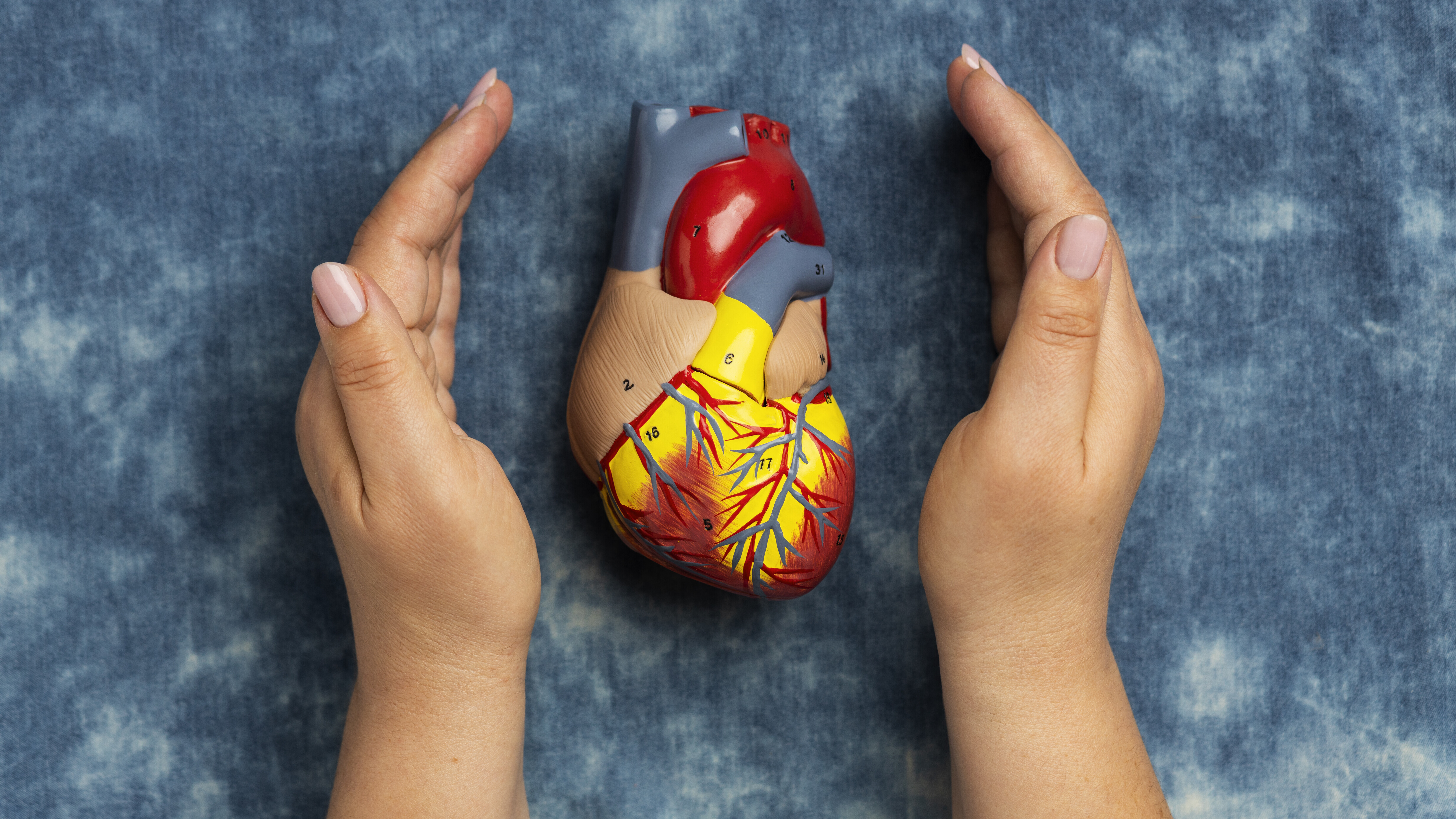 三高｜每周運動可降膽固醇 有氧冇氧交替做最佳