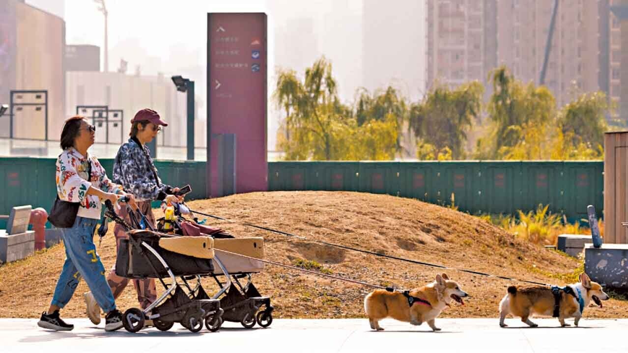 大寒迎寒風 今晚急跌9度