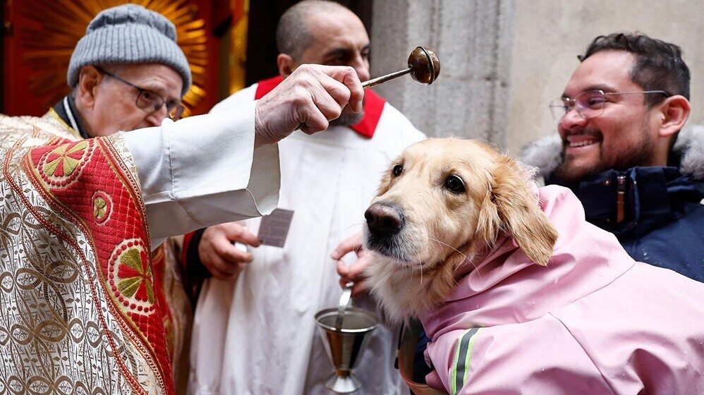 寵物專屬慶典，動物齊彌撒，神父馬拉松式為毛孩祈福。(X)