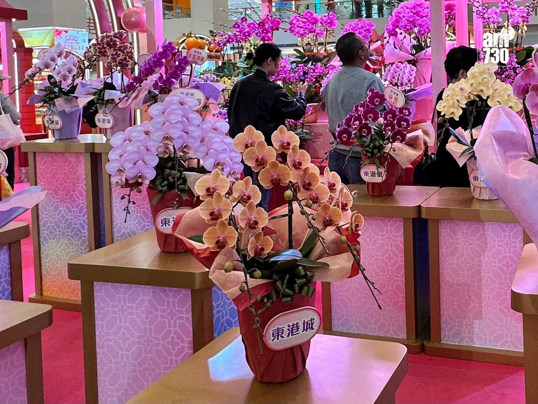 將軍澳東港城於1月21日至2月16日舉行全港最早室內花市「東港城第二十屆新春花展會」(陳穎琳攝)