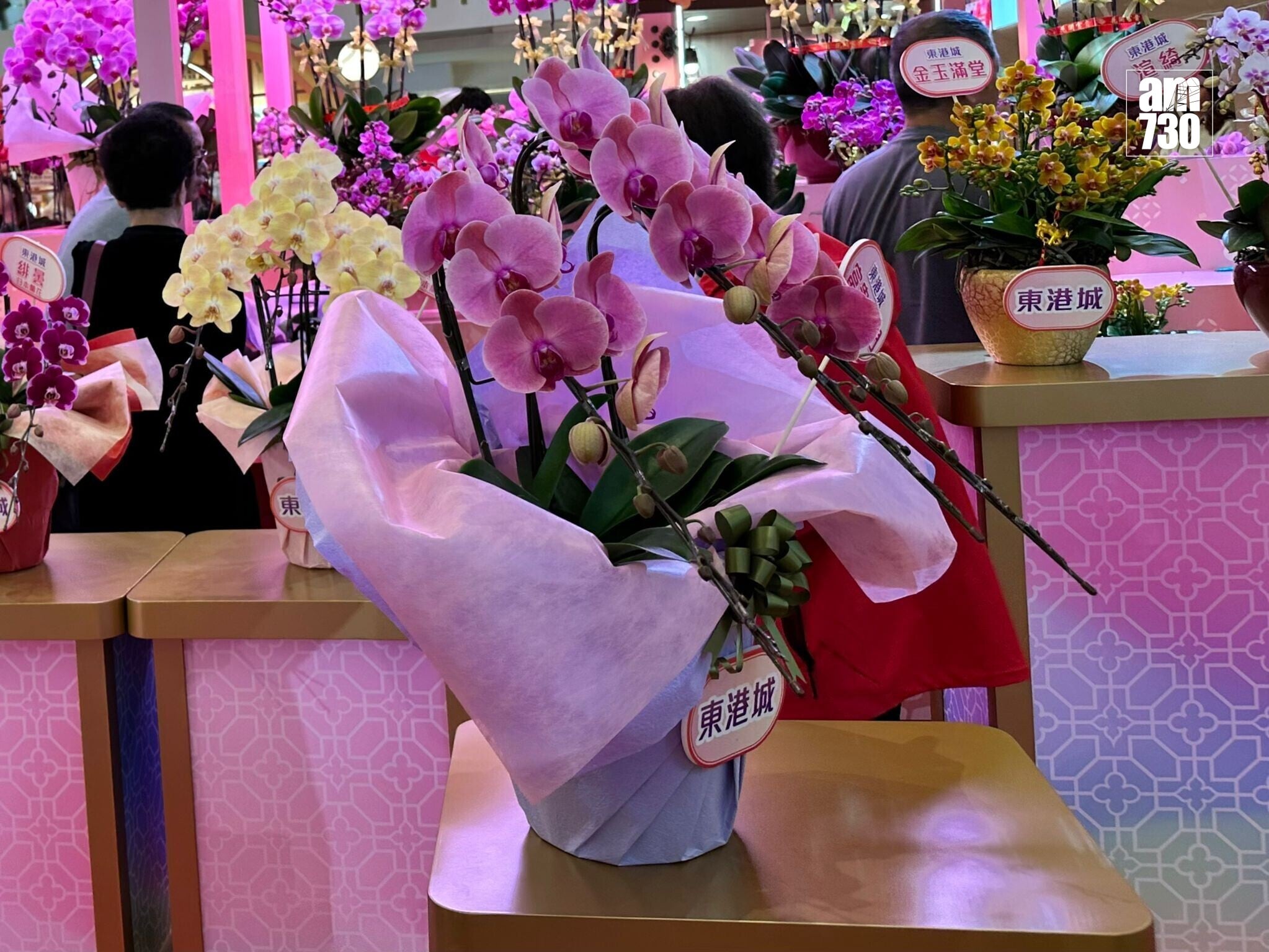 將軍澳東港城於1月21日至2月16日舉行全港最早室內花市「東港城第二十屆新春花展會」(陳穎琳攝)