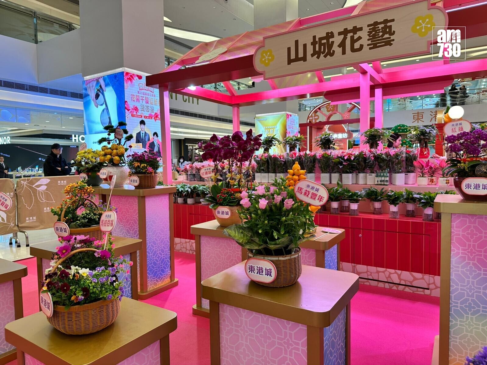 將軍澳東港城於1月21日至2月16日舉行全港最早室內花市「東港城第二十屆新春花展會」(陳穎琳攝)