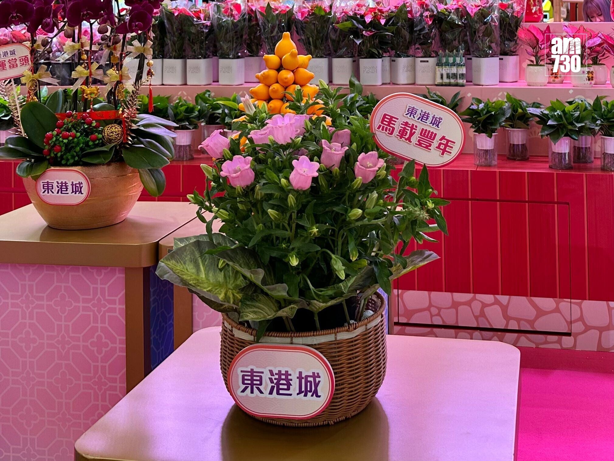 將軍澳東港城於1月21日至2月16日舉行全港最早室內花市「東港城第二十屆新春花展會」(陳穎琳攝)
