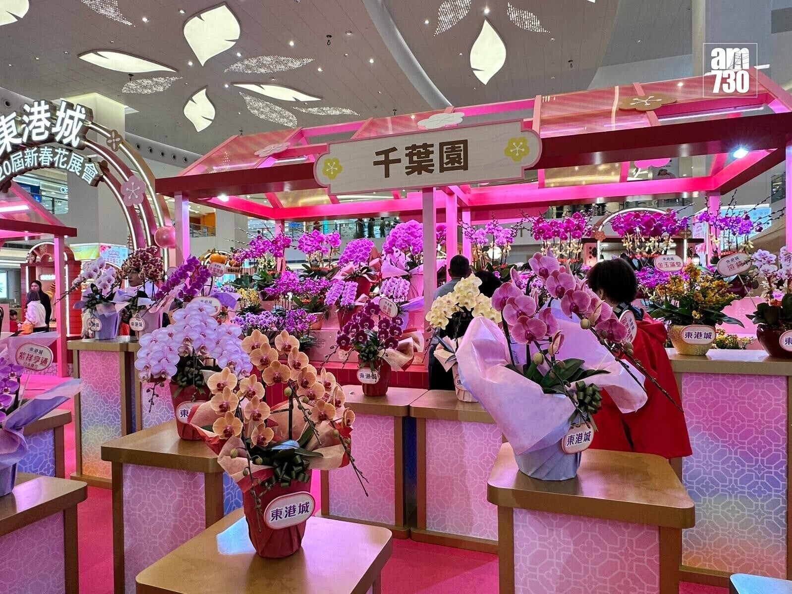 將軍澳東港城於1月21日至2月16日舉行全港最早室內花市「東港城第二十屆新春花展會」