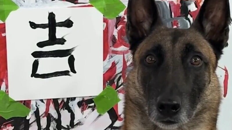 狗界莫內寫「吉」字爆紅，墨寶獲收藏家以2.4萬元買下。(IG)