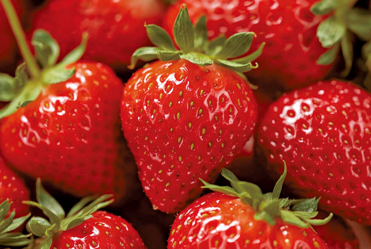 小心新鮮士多啤梨飲品