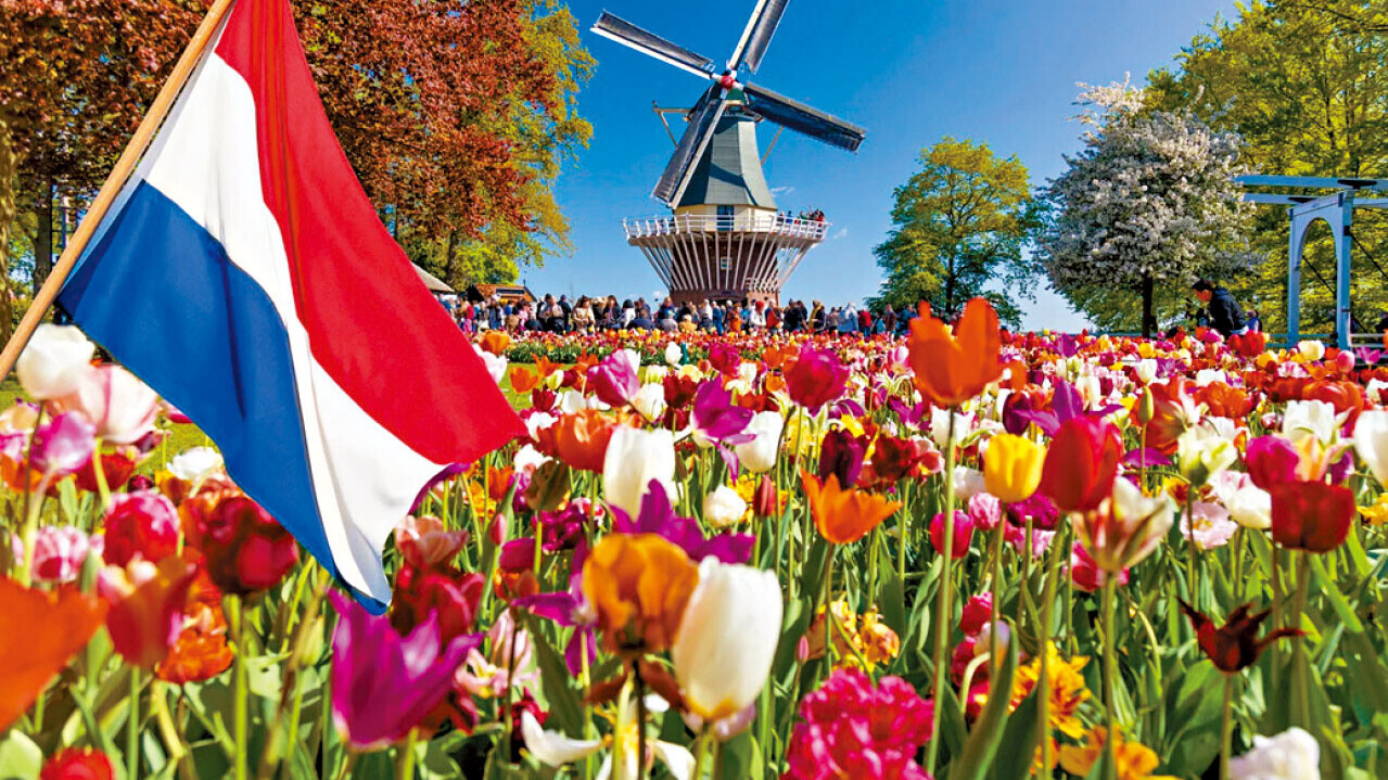 歐洲春天的第一道顏色