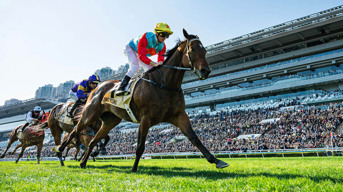 「嘉應高昇」在一級賽百週年紀念短途盃勝出，成功追平「精英大師」的17連勝香港紀錄。(馬會提供)