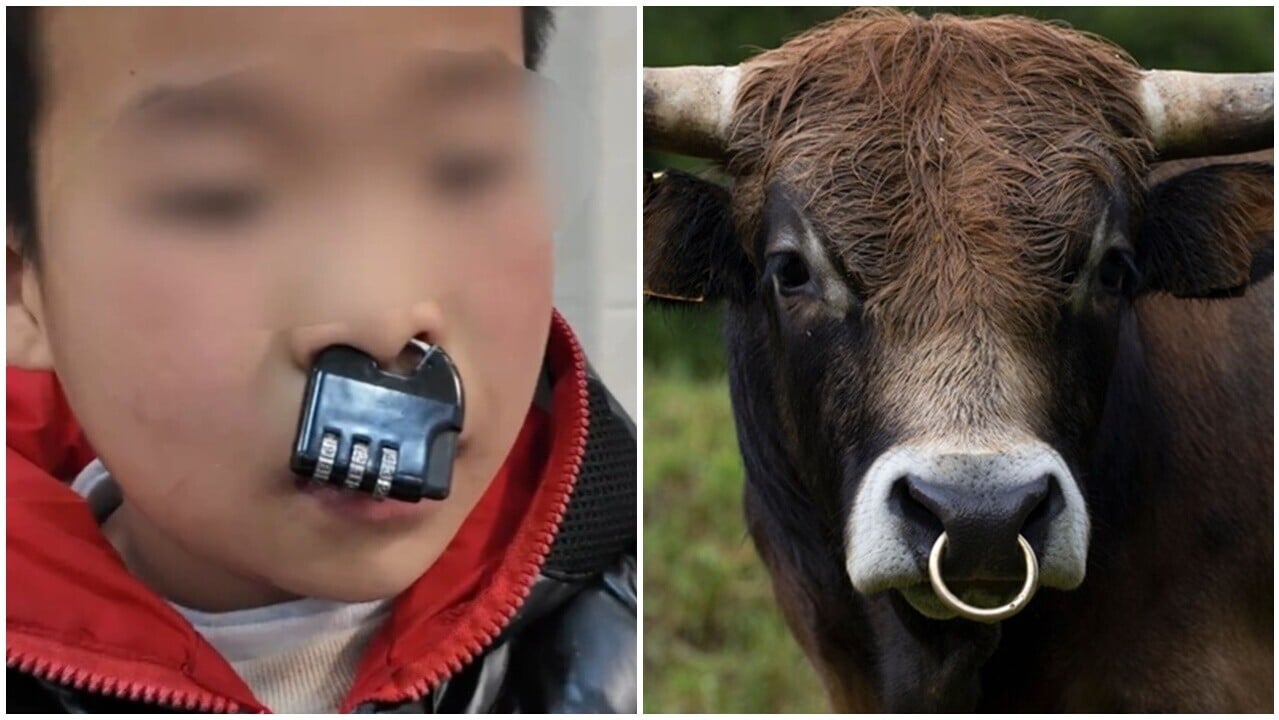 湖南頑童密碼鎖鎖鼻，秒變「牛魔王」求助。