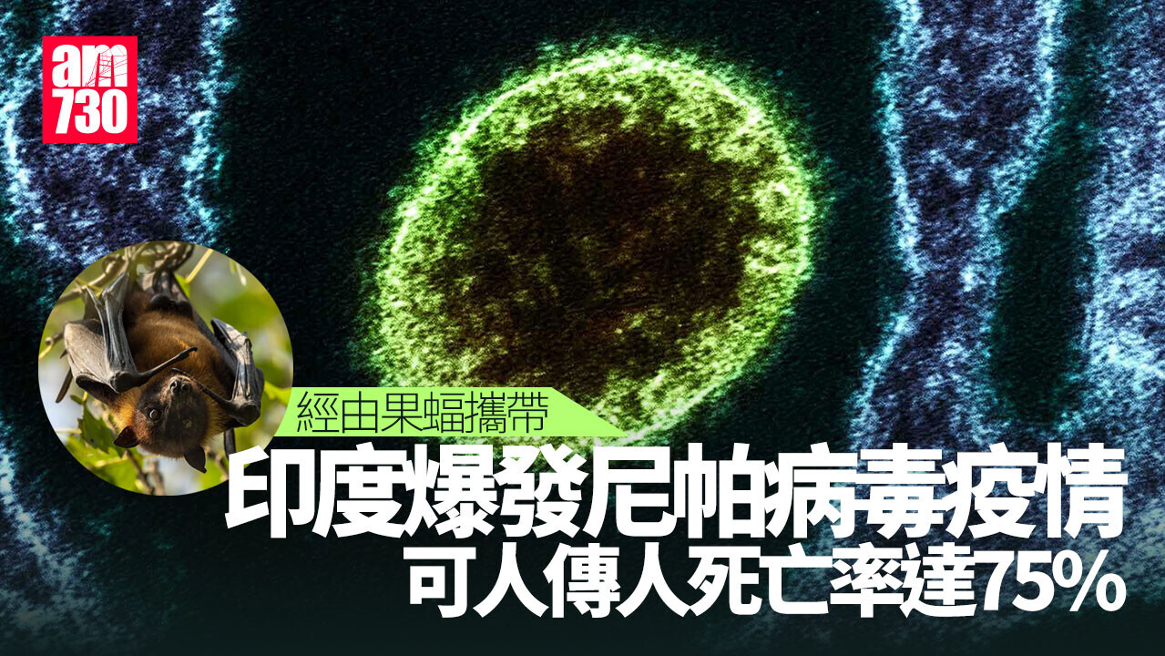 尼帕病毒︱印度爆疫鄰近地區加強防範 病毒可人傳人死亡率達75%