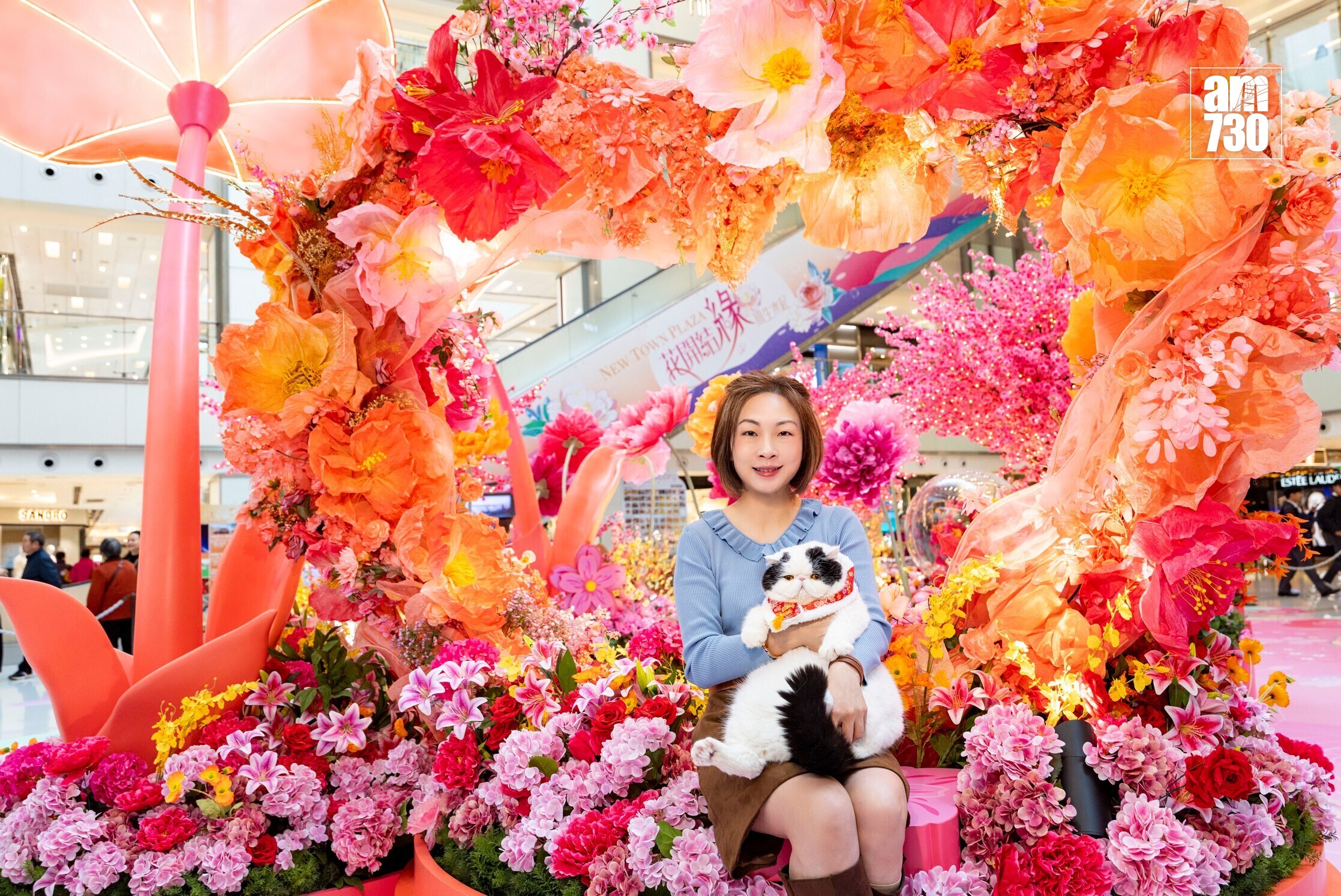 2c. 室內賀年裝置全面升級寵物友善