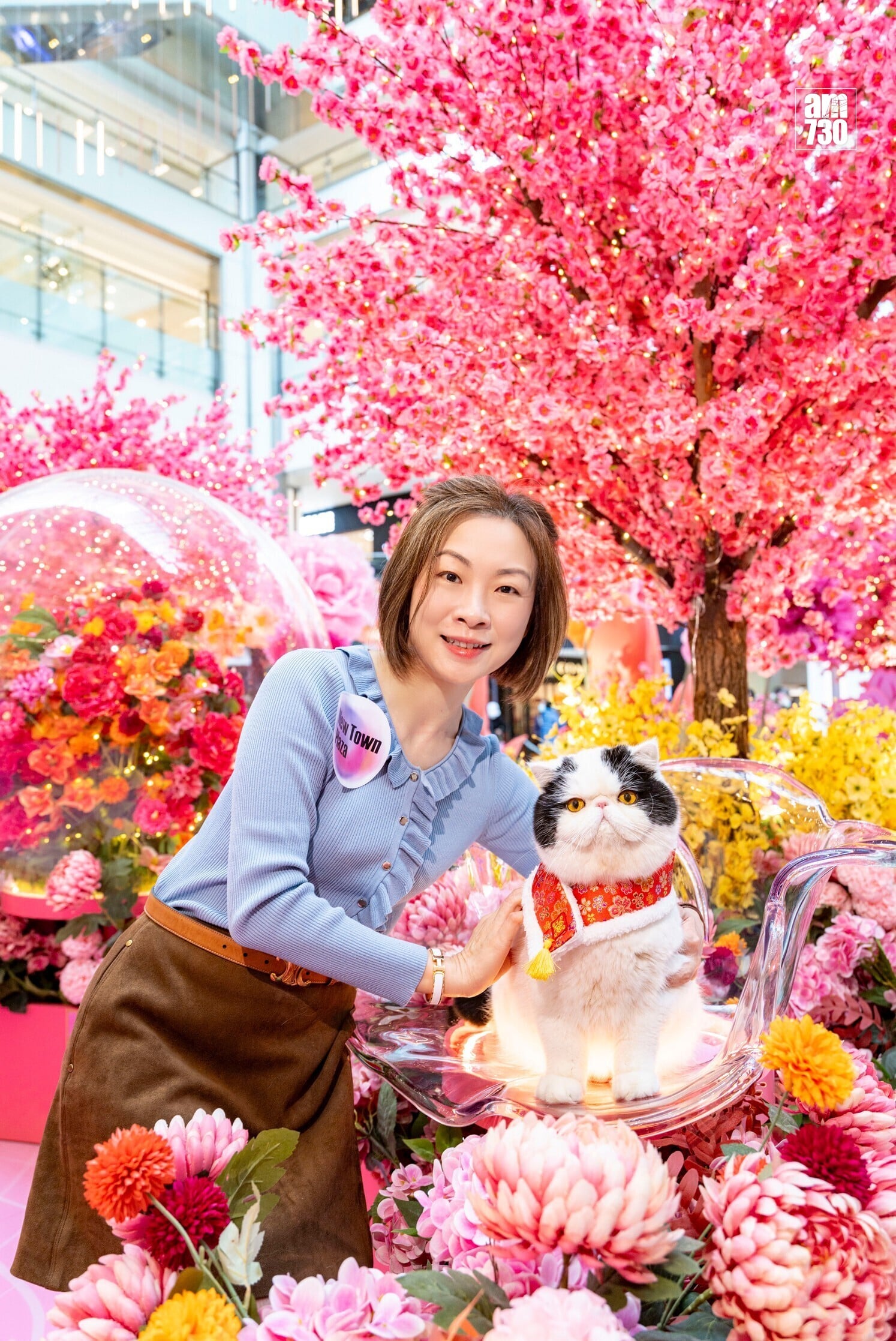 2b. 室內賀年裝置全面升級寵物友善