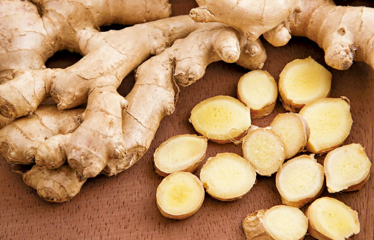 冬寒襲人 薑守陽氣