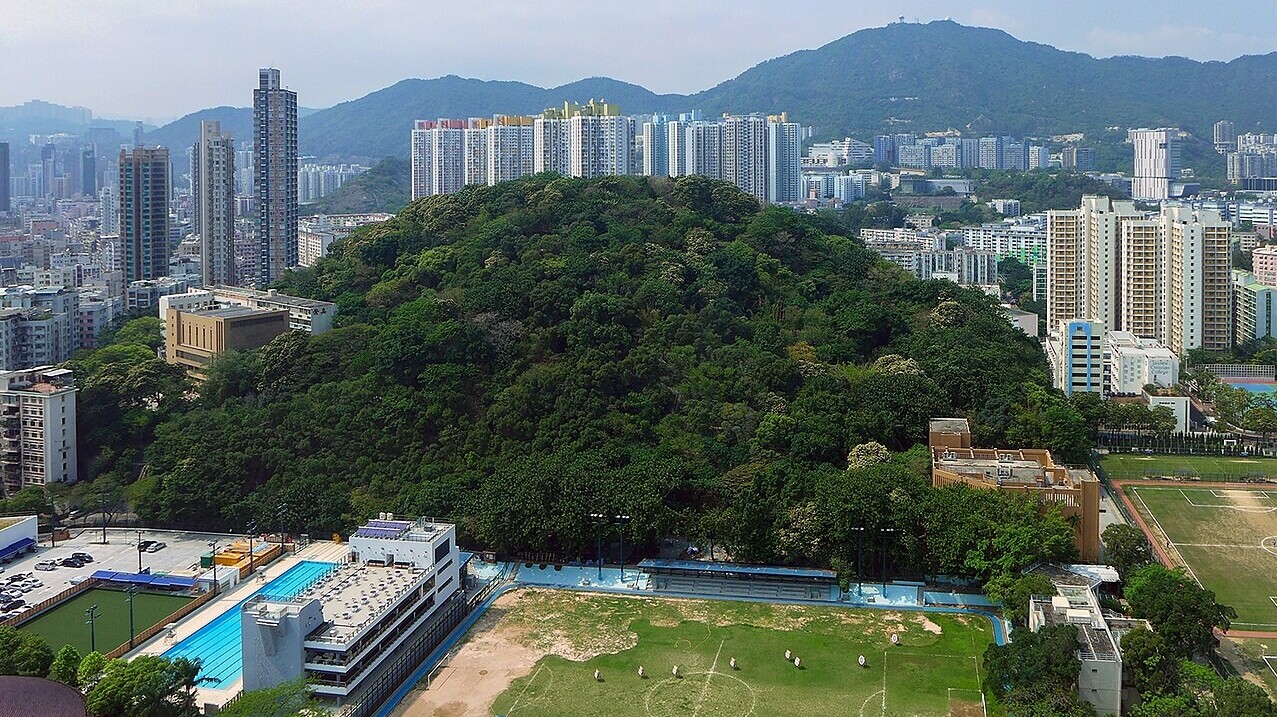 主教山官地僭建猖獗，「管理者」認違法反指政府無正視居民需求。(維基百科圖片)