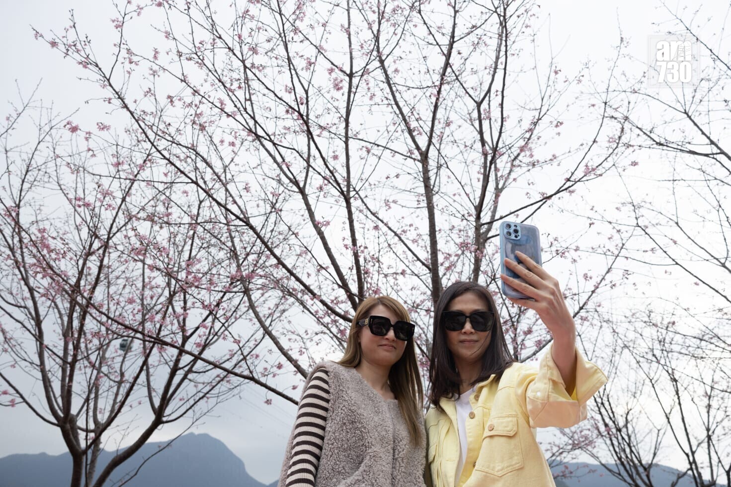 戴小姐(右)認為香港有櫻花園很難得，「點樣都係以香港為傲。」(蘇文傑攝)