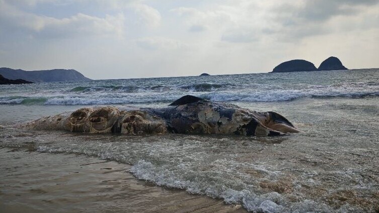 WhatsApp Image 2026 01 29 at 5.50.31 PM