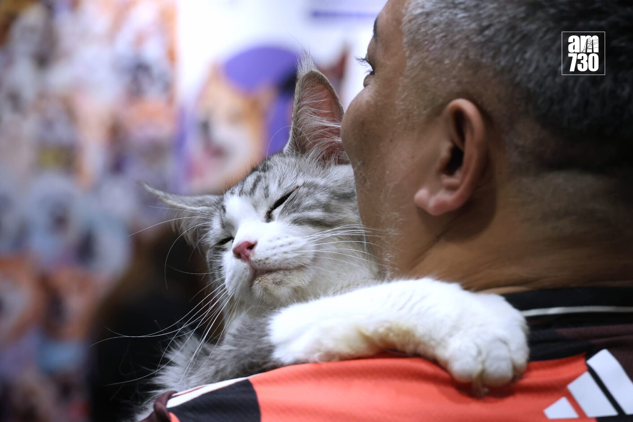 全港最大型公眾寵物展覽「香港寵物節2026」今日起至2月1日（星期四至日）在香港會議展覽中心舉行(林俊源攝)