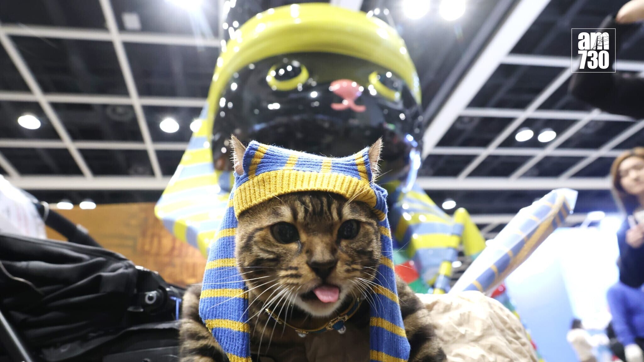 全港最大型公眾寵物展覽「香港寵物節2026」今日起至2月1日（星期四至日）在香港會議展覽中心舉行(林俊源攝)