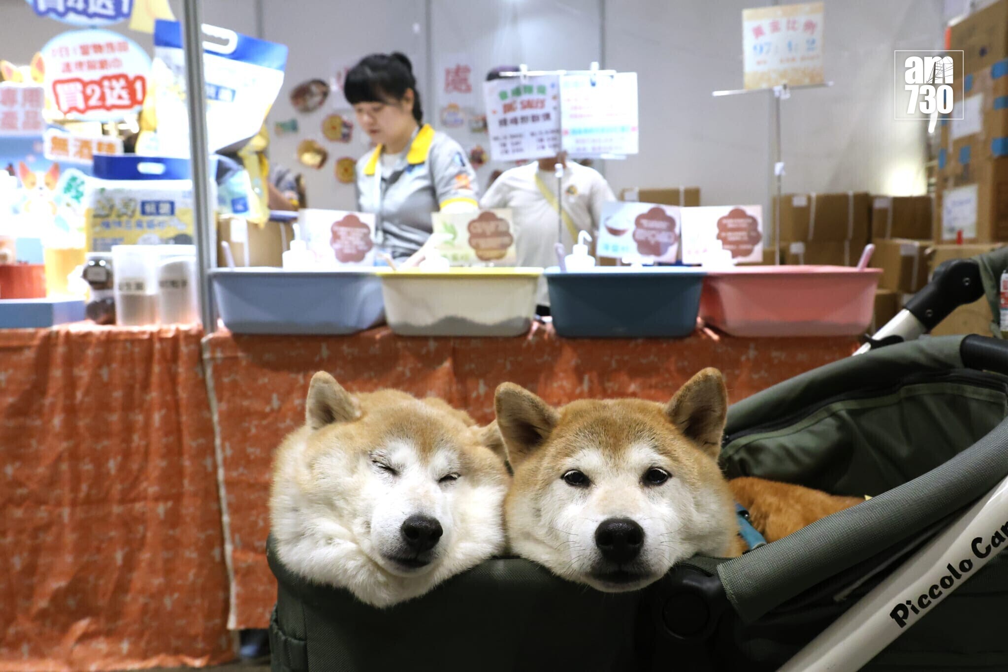 全港最大型公眾寵物展覽「香港寵物節2026」今日起至2月1日（星期四至日）在香港會議展覽中心舉行(林俊源攝)