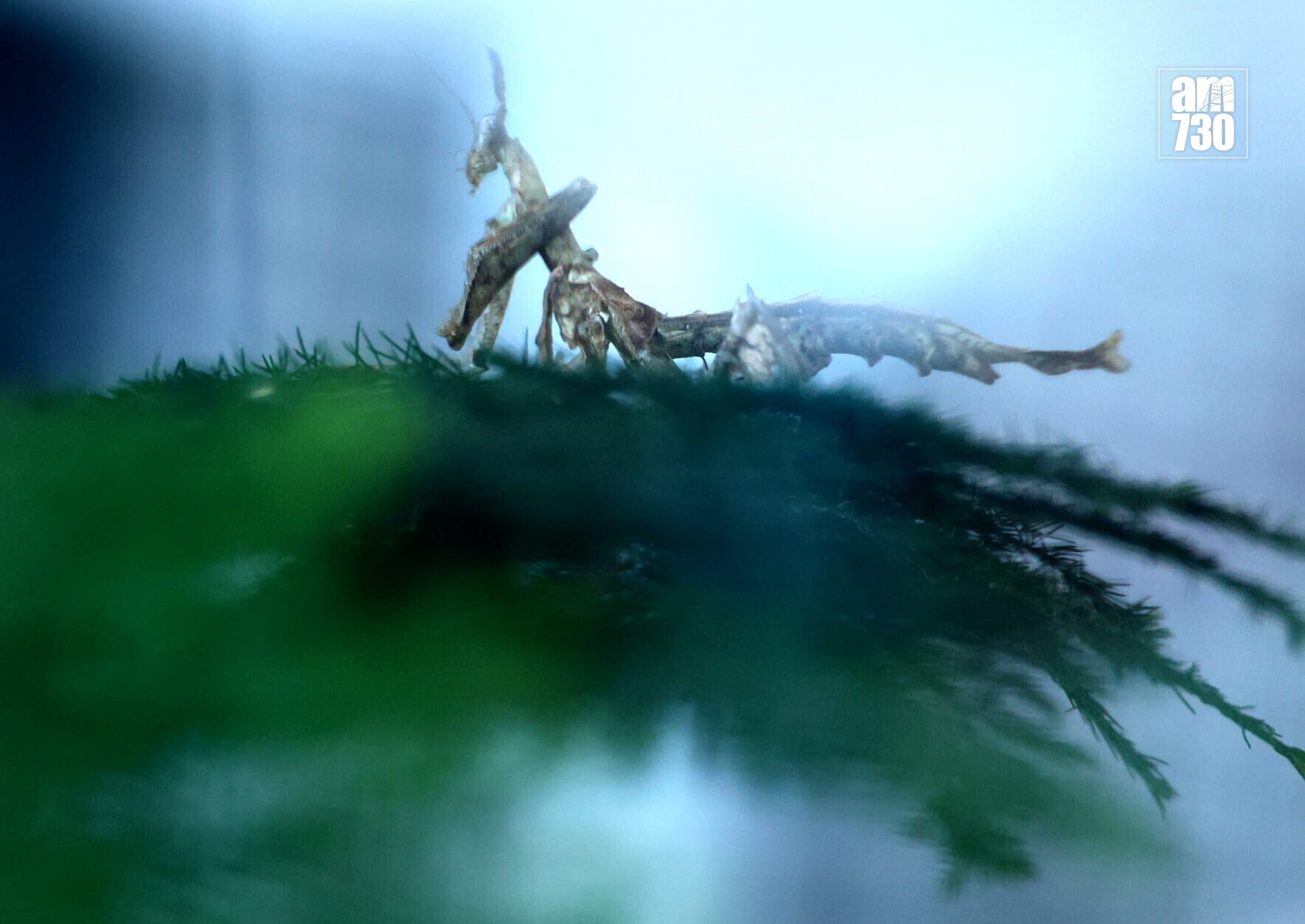 全港最大型公眾寵物展覽「香港寵物節2026」今日起至2月1日（星期四至日）在香港會議展覽中心舉行