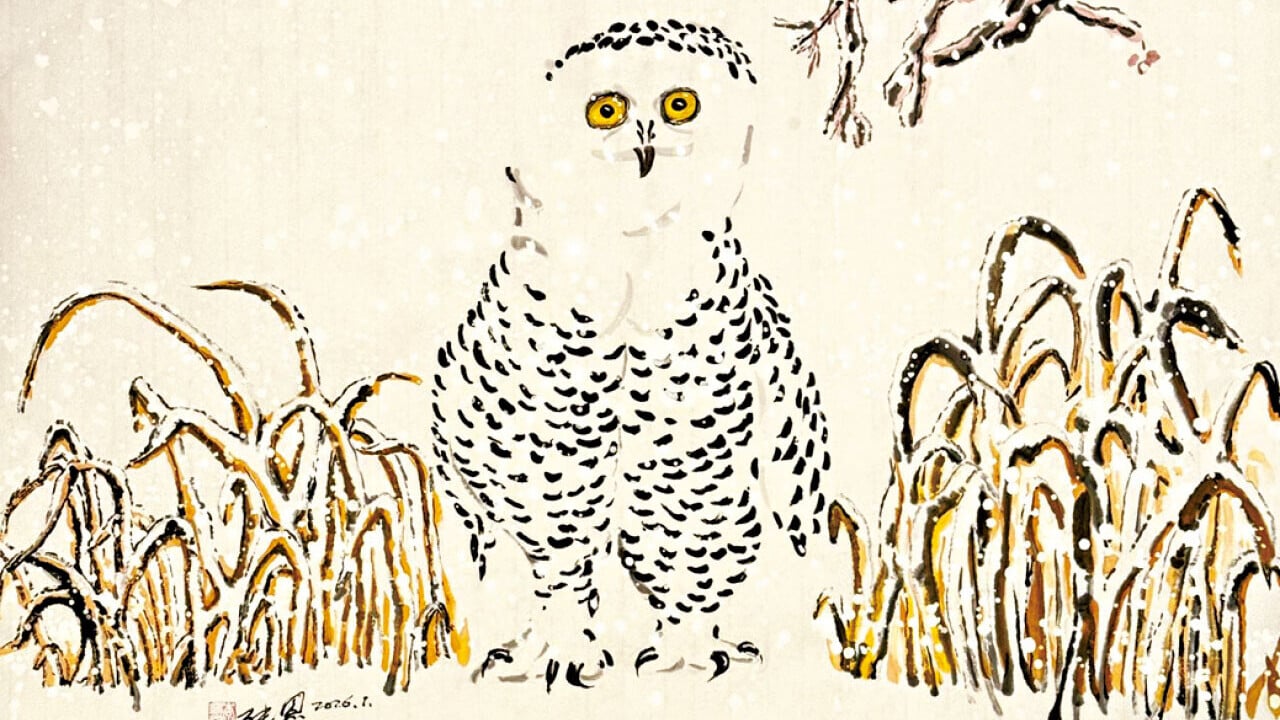 畫由心生 李純恩