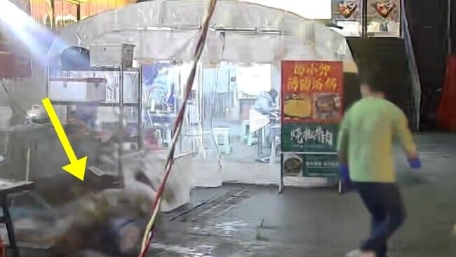 貴州老闆好心餵貓避過天降花盤，稱會置貓窩容身。(微博)