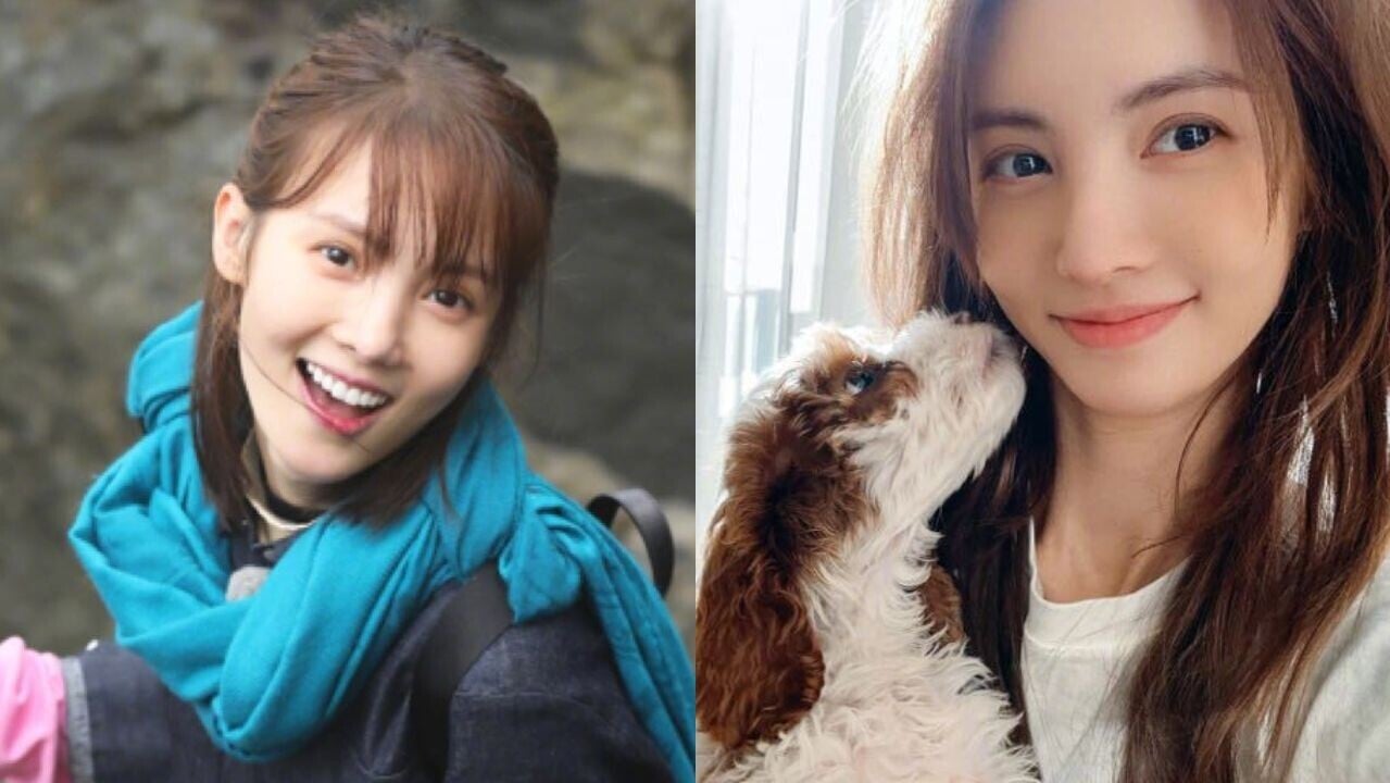 內地女星金晨涉去年炒車找助理「頂包」車禍後疑呃保險