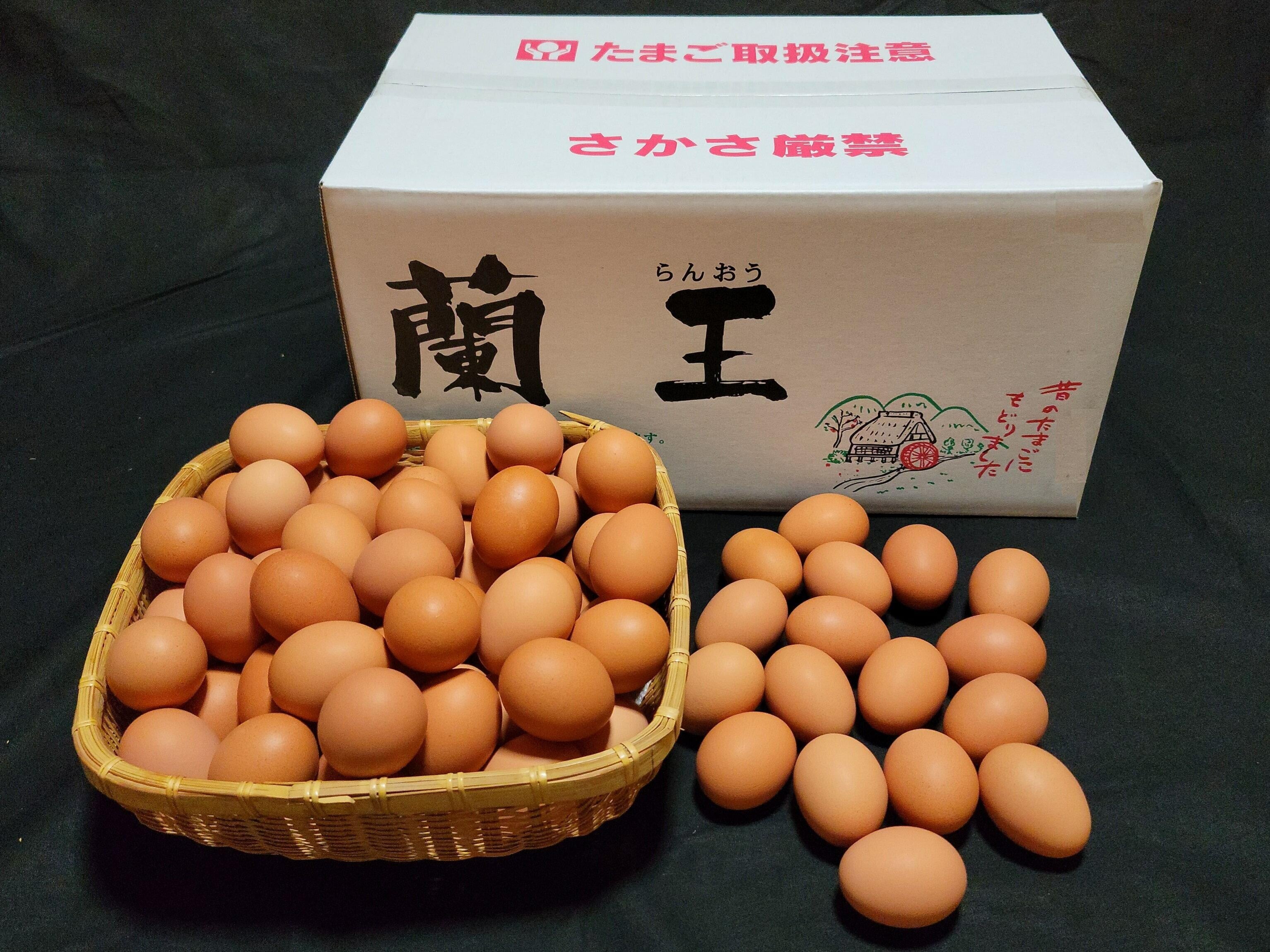 蘭王雞蛋(網絡圖片)