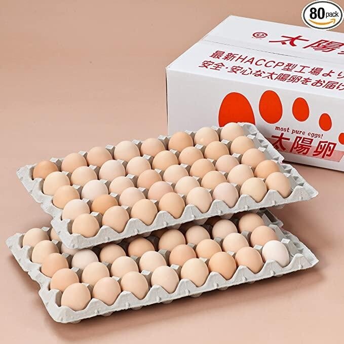 九州長崎太陽卵(網絡圖片)