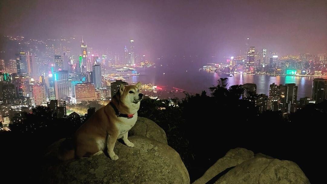 北角 紅香爐峰 (圖片來源: instgram @ chi_keung_fung)