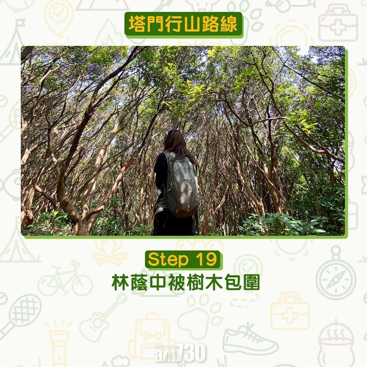 塔門行山路線