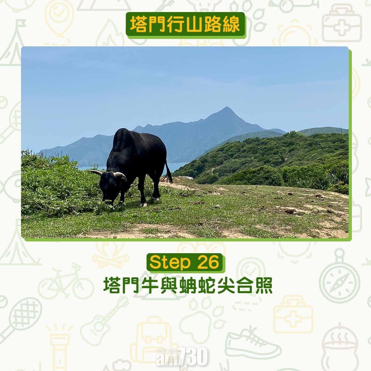 塔門行山路線