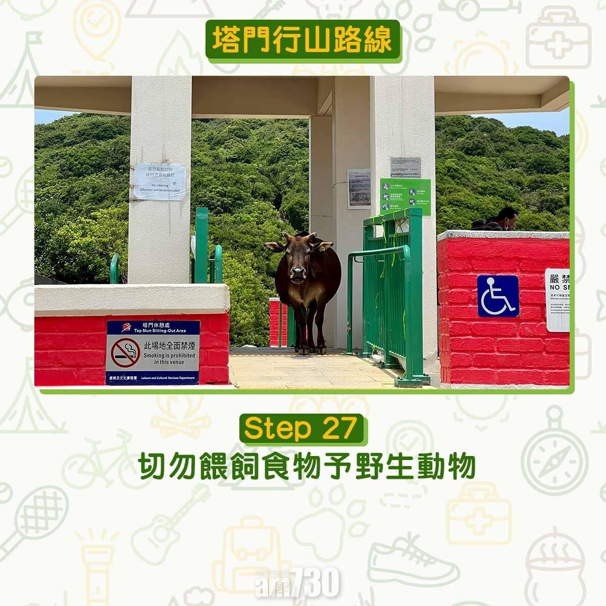 塔門行山路線