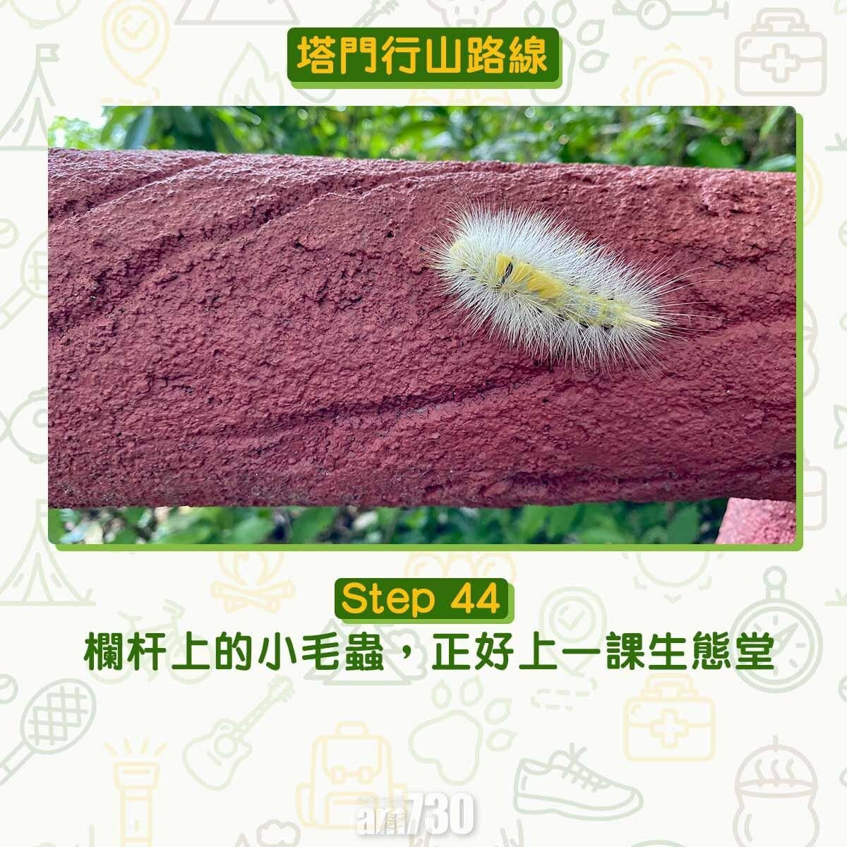 塔門行山路線